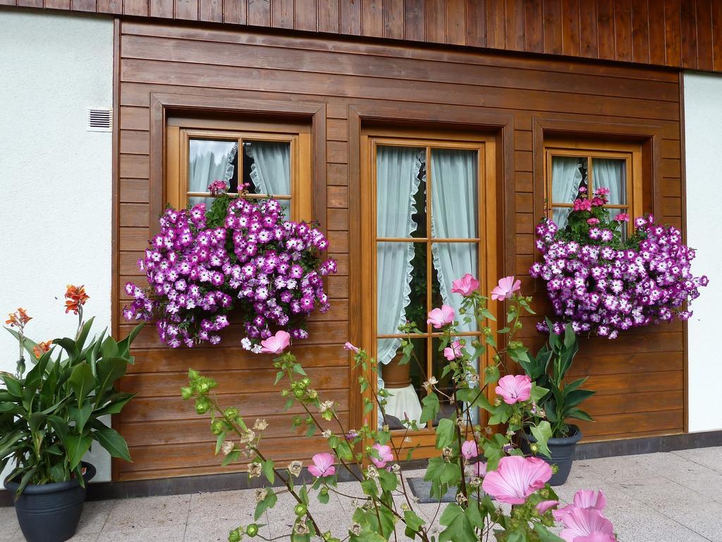 Haus Silvia Appartement Werfenweng Buitenkant foto